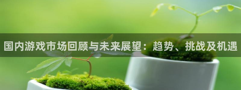 赢咖娱乐注册网站：国内游戏市场回顾与未来展望：趋势、挑战及机