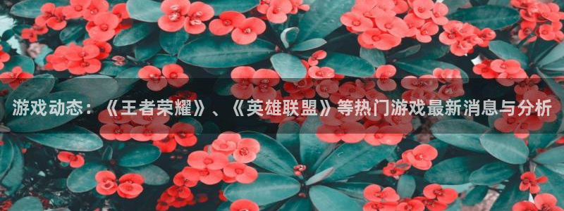 赢咖娱乐娱乐是真的吗