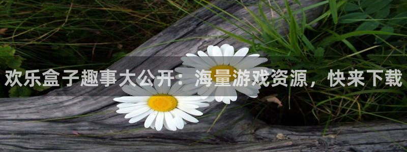 赢咖娱乐网页登录入口下载：欢乐盒子趣事大公开：海量游戏资源，