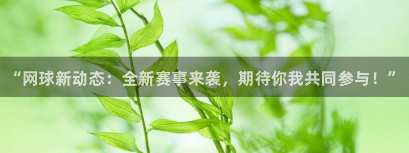 手机版赢咖娱乐客户端下载：“网球新动态：全新赛事来袭，期待你