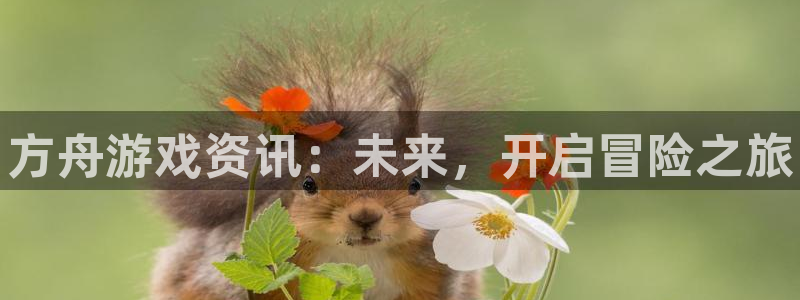 赢咖娱乐的意思：方舟游戏资讯：未来，开启冒险之旅