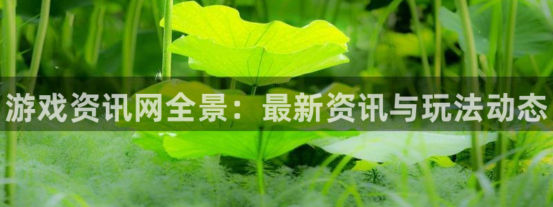 赢咖娱乐平台官网注册：游戏资讯网全景：最新资讯与玩法动态