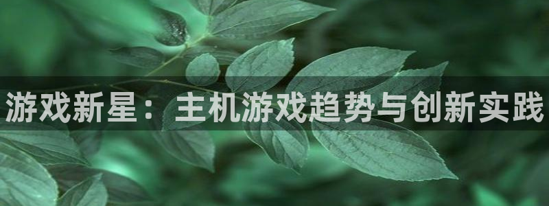 赢咖娱乐注册登录：游戏新星：主机游戏趋势与创新实践