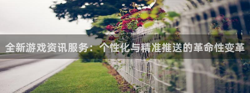 赢咖娱乐app：全新游戏资讯服务：个性化与精准推送的革命性变