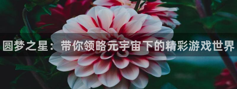 赢咖娱乐官方平台：圆梦之星：带你领略元宇宙下的精彩游戏世界