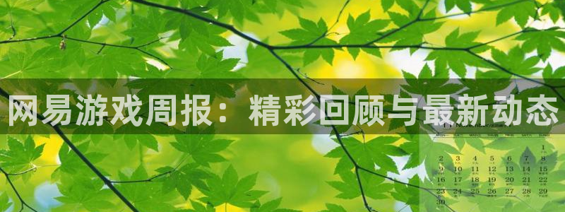 赢咖娱乐登录地址：网易游戏周报：精彩回顾与最新动态