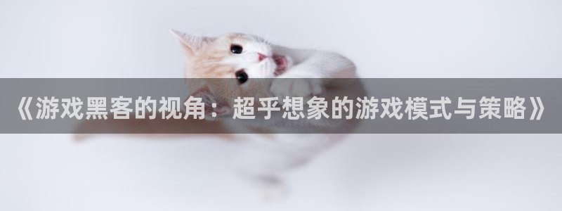 赢咖娱乐2首页登录：《游戏黑客的视角：超乎想象的游戏模式与策