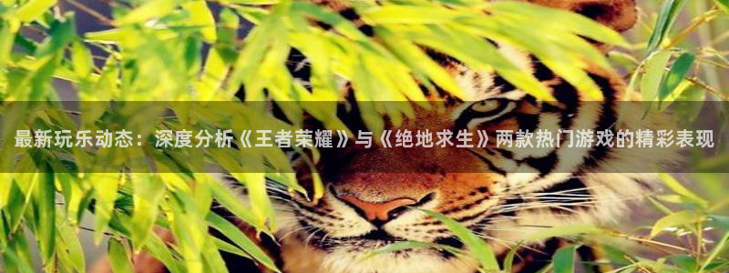 赢咖娱乐升级5994月：最新玩乐动态：深度分析《王者荣耀》与