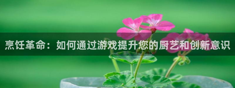 赢咖娱乐网页登录入口：烹饪革命：如何通过游戏提升您的厨艺和创