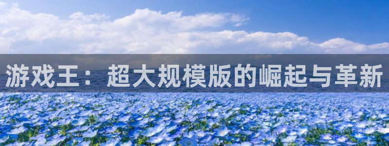 赢咖娱乐网页登录入口下载：游戏王：超大规模版的崛起与革新