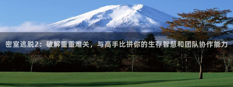 赢咖娱乐注册服务条款：密室逃脱2：破解重重难关，与高手比拼你