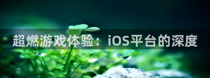 赢咖娱乐注册网站：超燃游戏体验：iOS平台的深度