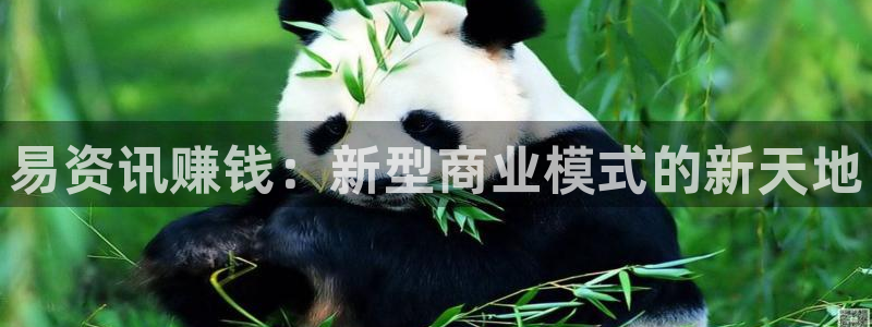 赢咖娱乐平台负责人：易资讯赚钱：新型商业模式的新天地